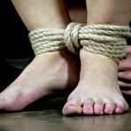 First pic of SexPreviews - Elise Graves in tight rope bondage is spanked and has naked body exposed