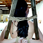 Third pic of SexPreviews - Elise Graves in tight rope bondage is spanked and has naked body exposed