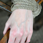 Second pic of SexPreviews - Hailey Young bound in rope having her pussy and ass toyed to orgasm by maledom