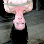 Fourth pic of SexPreviews - Hailey Young bound in rope having her pussy and ass toyed to orgasm by maledom