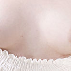 First pic of Younger Babes Picture Gallery - Younger Babes Nude Videos, Blonde Younger Babes