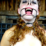 First pic of SexPreviews - Dixon Mason busty schoolgirl is rope bound with mouth gag and sucking cock