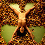 Fourth pic of Joy Lamore Autumn Leaves