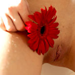 Fourth pic of Eva Elfie With Flower In Her Hair | Boobs Photo