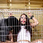 First pic of Lad frees brunette to penetrate her holes - House Of Taboo - PornstarsNaked.com