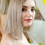 Fourth pic of Eva Elfie Reveals Perky Tits 