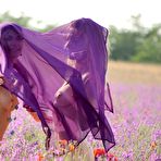 Fourth pic of Tender lesbian couple with sexy Eva E are naked in the flower filled meadow
