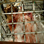Third pic of Soaking wet slave girl Audrey Leigh getting her helpless shaved pussy dildoed