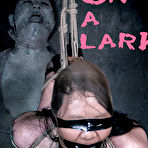 First pic of SexPreviews - Zoe Lark asian in rope bondage with nipples clamped in bdsm dungeon