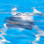 Second pic of &nbsp;