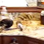Third pic of Real mom homemade doggystyle fuck at AmateurPorn.me