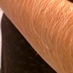 First pic of Hairy-Arms.com