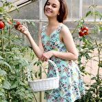 First pic of Kertu Strips in the Greenhouse