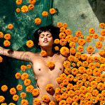 Fourth pic of Anita Pathammavong Nude
