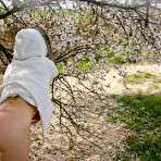 Second pic of magic-erotica-almond-blossoms