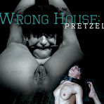 First pic of SexPreviews - Dakota Marr brunette is bound in metal nipples clamped and pussy toyed for orgasm