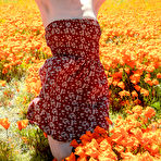 First pic of Emily Bloom in the Warm Sun