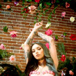 First pic of Taylor White Inked Beauty