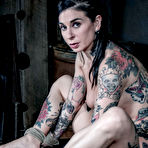 Fourth pic of SexPreviews - Joanna Angel busty tattoo babe is gagged and clamped in rope bondage toyed to cum