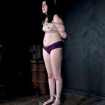 Third pic of SexPreviews - Miranda Miller brunette is gagged and bound in rope her shaved pussy toyed