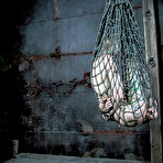 Third pic of SexPreviews - Rain DeGrey naked gagged blonde is bound in a bdsm net by lezdom Sister Dee
