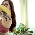 Second pic of Tattooed babe showing tight ass in thong panties for Suicide Girls | Erotic Beauties