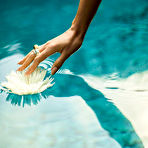 Third pic of Danielle Alcaraz in the Pool
