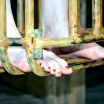 First pic of Claire Adams gets a wicked bondage treatment with vicious spanking and sex toys & insertions