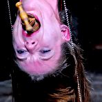 Fourth pic of Bondage action with Hazel Roze is something that you dont want to miss.