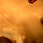 Second pic of Bollywood Nudes HD - www.bollywoodnudeshd.com