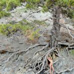 Third pic of Gorgeous teen Geisha B is staying under the sky with nude tits and hairy beaver seen