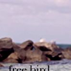 Third pic of Nereyda Bird Nude Photos &mdash; Black Natural Babe Shows Big Boobs And Butt - Scandal Planet