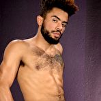 Second pic of Raging Stallion