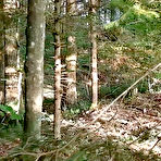 First pic of Forest Dump