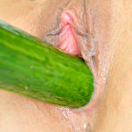 Fourth pic of Arya in Skimpy Sheer Lingerie