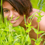 Fourth pic of Kirsay A: Naked babe in the field @ Met Art - XNSFW.COM