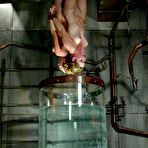 Fourth pic of Handcuffed girls Hollie Stevens, Isis Love, Jessica Sexin, Sasha Monet and Lola get water tortured