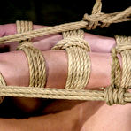 Second pic of Busty slave blonde Jenni Lee gets showered, hogtied and ruthlessly dildo fucked