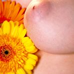 Second pic of Digital Desire: Chantelle Fontain Eleven