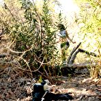 First pic of Alluring pretty faced brunette Coco Velvet enjoys fucking machine in the woods