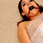 Fourth pic of TIED VIRGINS