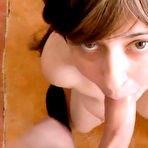 Third pic of The Daily Swallow 1