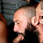 Second pic of Harnessed, Hairy And Hard Fuckers