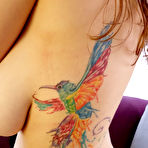 Third pic of Anna T Lounge Lizard I Shot Myself - Prime Curves