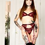 First pic of Vanessa Vega - Oiled In Lingerie 2 - Scene 4 - My Free Pornstars