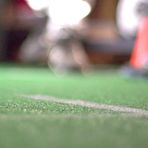 Second pic of Make 'Em Sweat | PornFidelity | SugarInstant