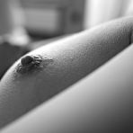 Fourth pic of Lotta in Black and White Nudes by Hegre-Art | Erotic Beauties