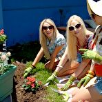 First pic of Hot Lux Kassidy&rsquo;s pussy is stretched widely for Louisa Lanewood and Sammie Rhodes&rsquo; tongues