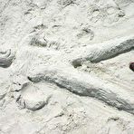 Fourth pic of Dixies Trailer Park - Trailer Trash Whore in hardcore Porn!