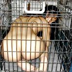 Third pic of  BDSM Club Kinkygate